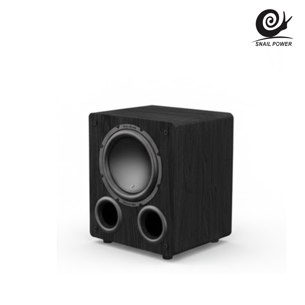 Loa C110 Snailpower - Hình ảnh 3